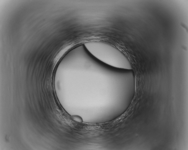 X0000102530147200808081101