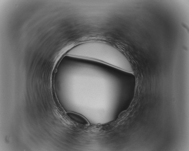X0000102530148200808081101