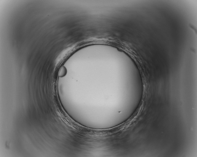 X0000102530149200808081101