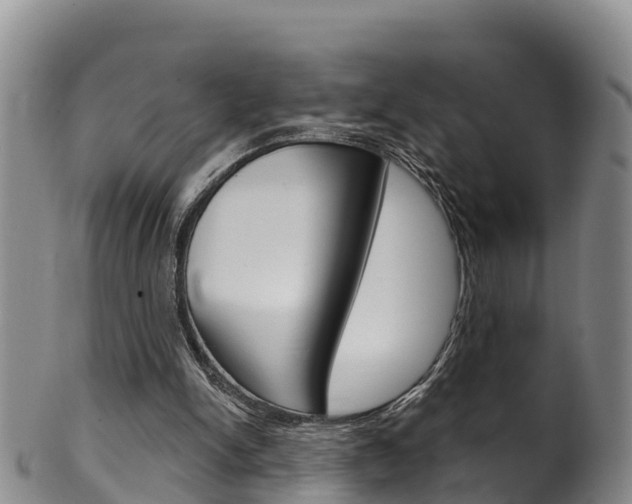 X0000102530150200808081101