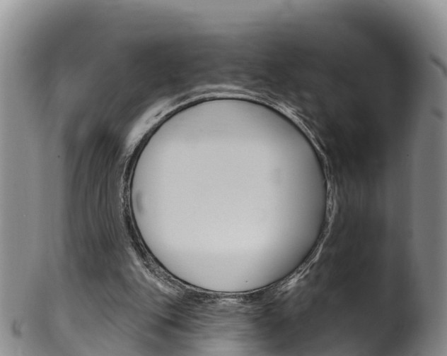 X0000102530151200808081101