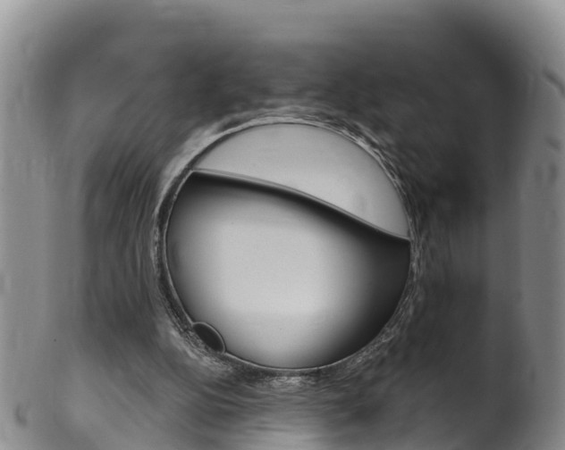 X0000102530152200808081101