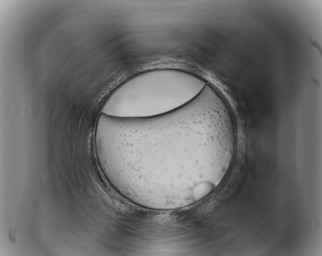 X0000102530153200808081101