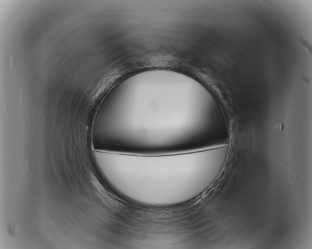 X0000102530154200808081101