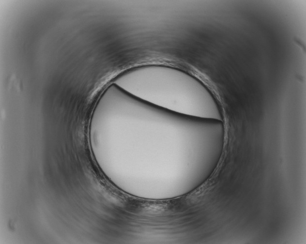 X0000102530155200808081101