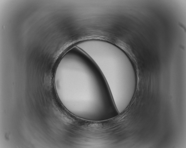 X0000102530156200808081101