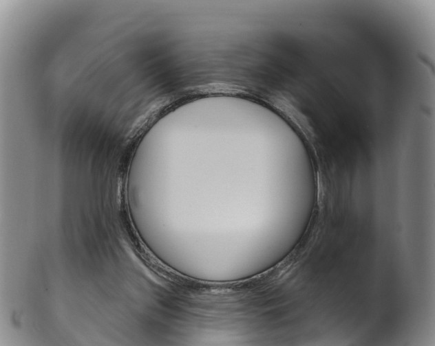 X0000102530157200808081101