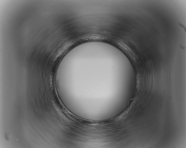 X0000102530158200808081101