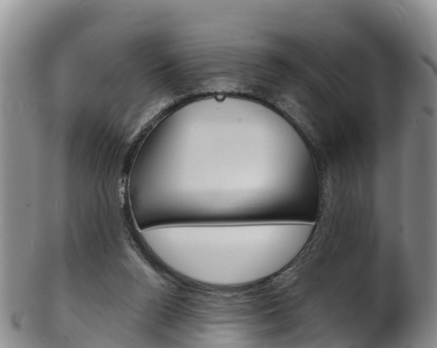 X0000102530160200808081101