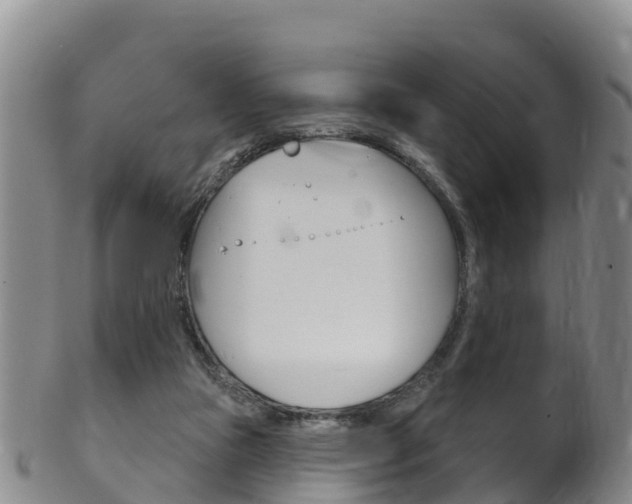 X0000102530161200808081101