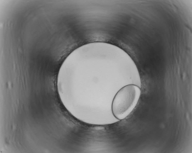 X0000102530162200808081101
