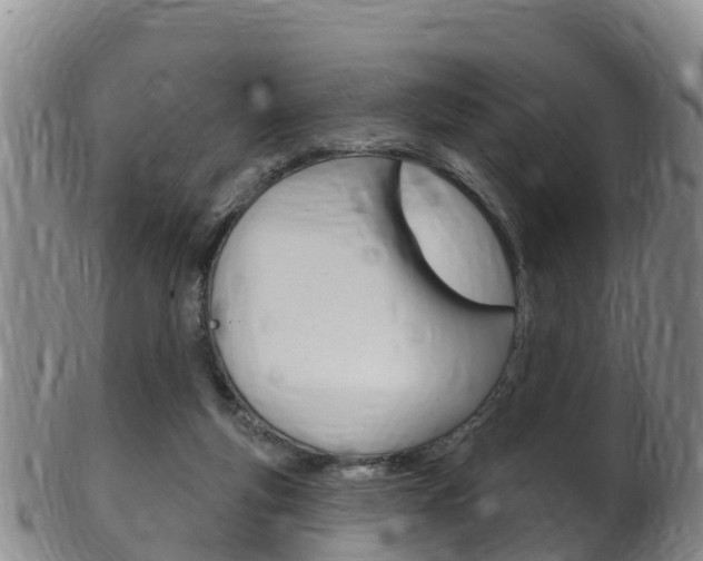 X0000102530163200808081101