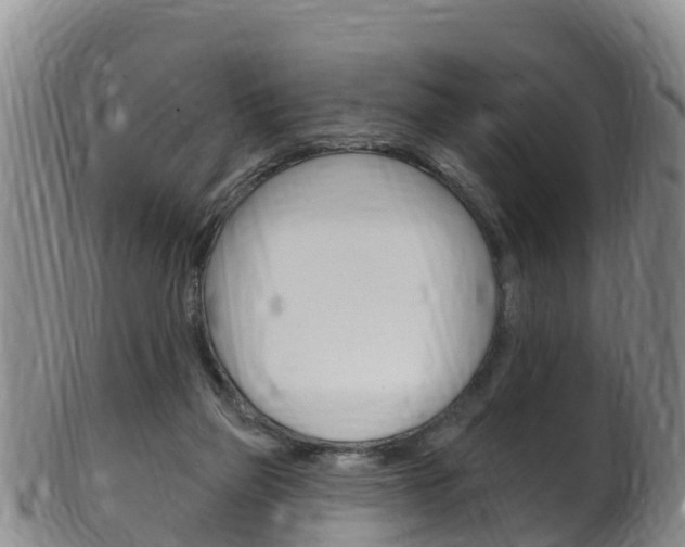X0000102530165200808081101