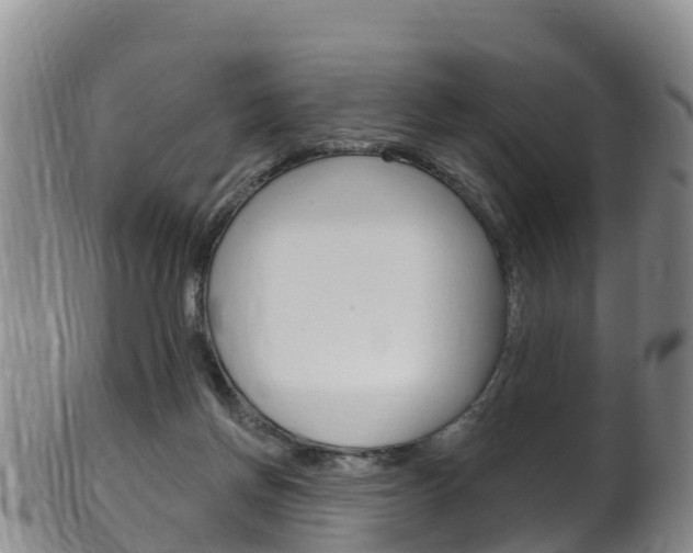 X0000102530166200808081101
