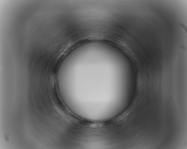 X0000102530168200808081101