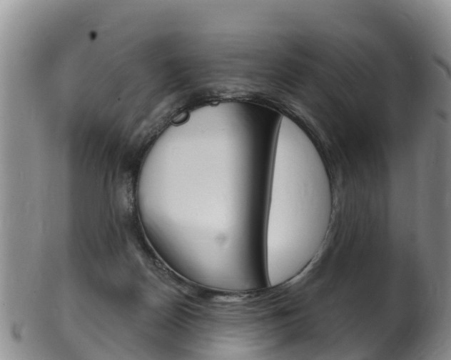 X0000102530170200808081101