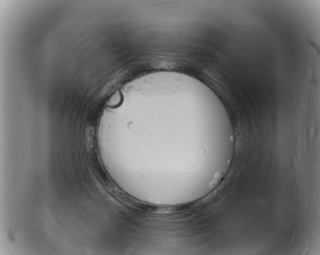 X0000102530171200808081101
