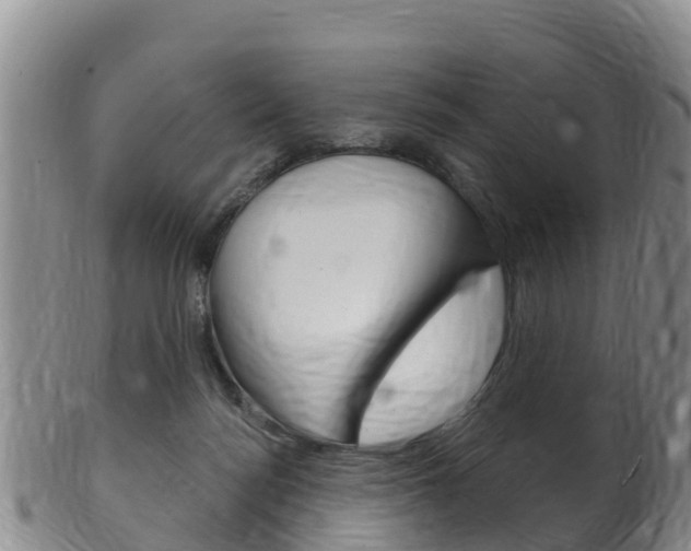 X0000102530172200808081101
