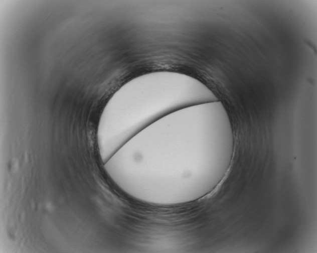 X0000102530174200808081101