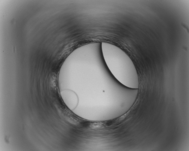 X0000102530175200808081101