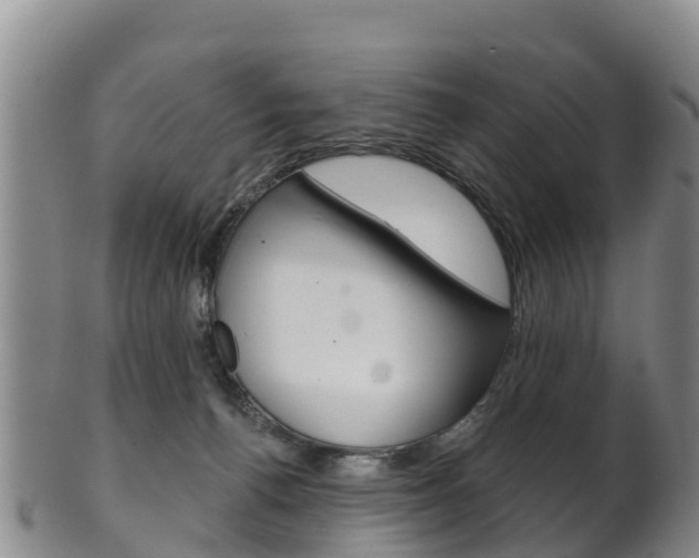 X0000102530176200808081101