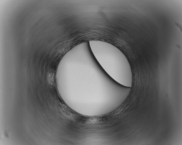 X0000102530177200808081101