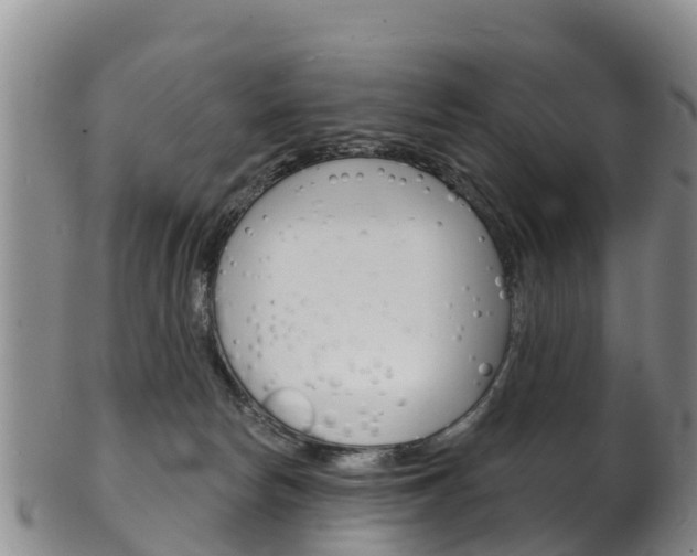 X0000102530178200808081101