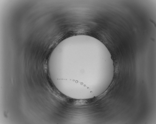 X0000102530179200808081101