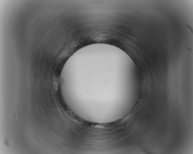 X0000102530180200808081101