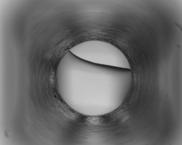 X0000102530181200808081101