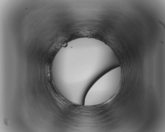 X0000102530182200808081101