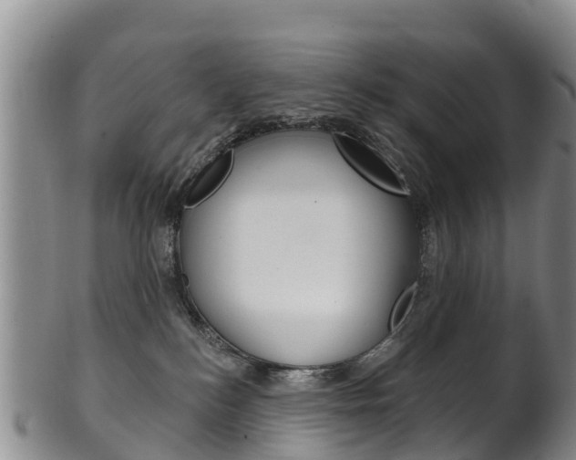 X0000102530184200808081101