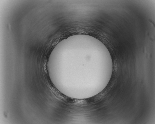 X0000102530185200808081101