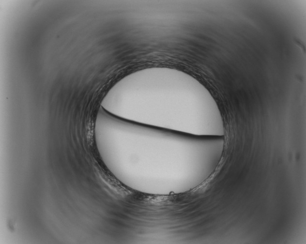 X0000102530186200808081101
