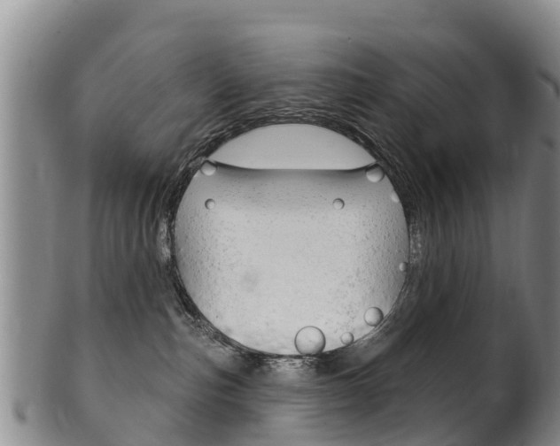X0000102530187200808081101