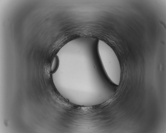 X0000102530188200808081101