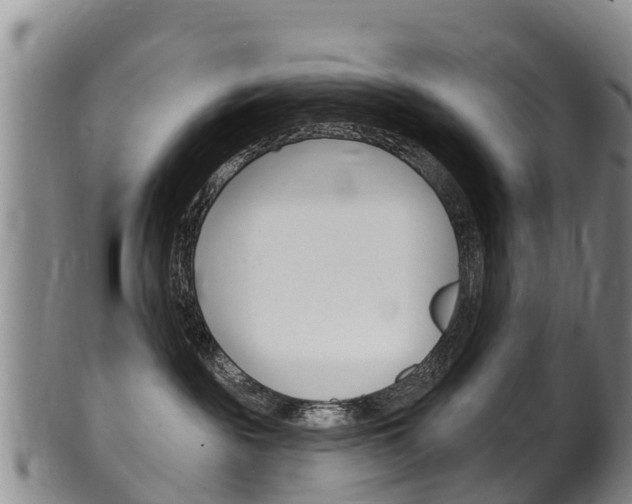 X0000102530189200808081101