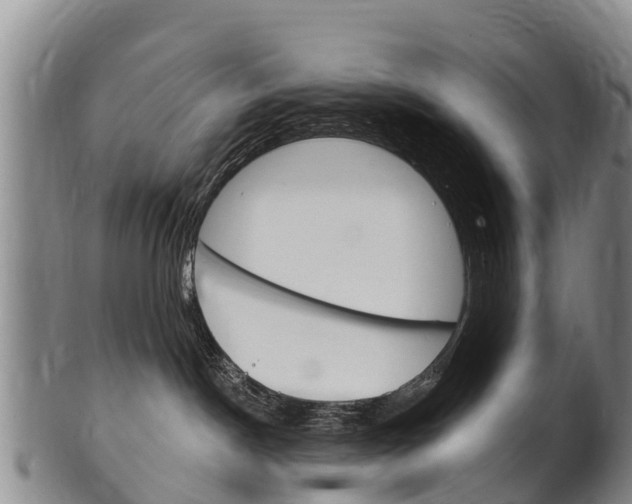 X0000102530190200808081101