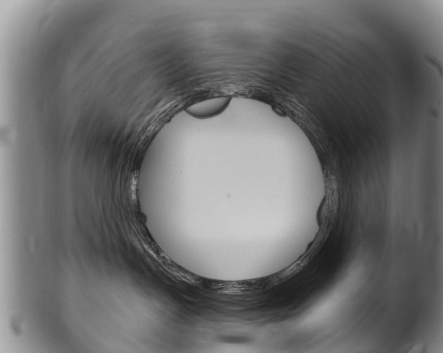 X0000102530191200808081101