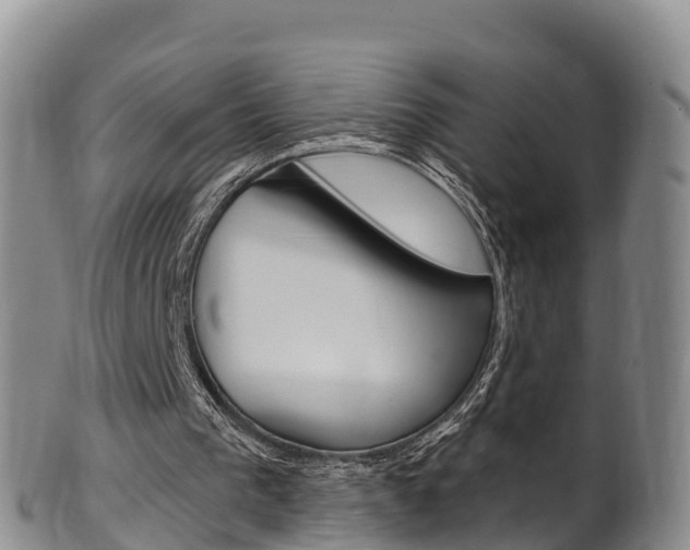X0000102530193200808081101