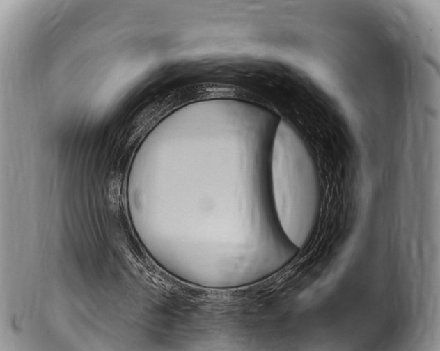 X0000102530194200808081101