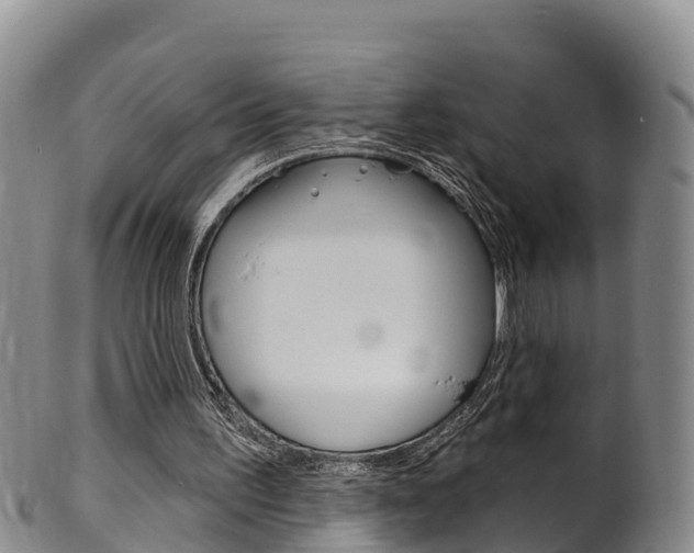 X0000102530195200808081101