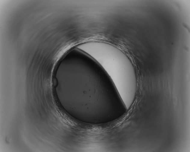 X0000102530196200808081101