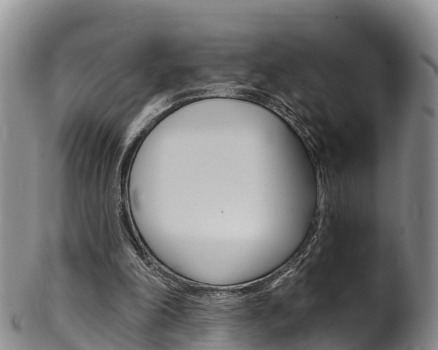 X0000102530198200808081100