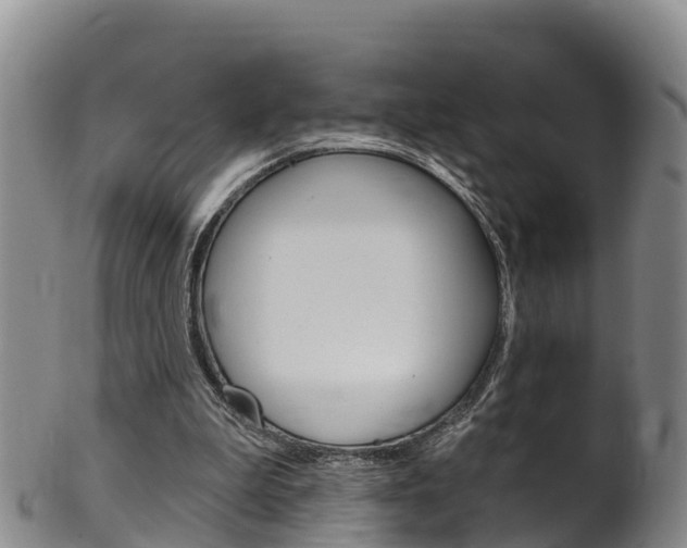 X0000102530199200808081100