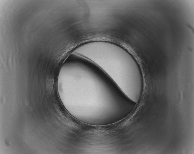 X0000102530201200808081100