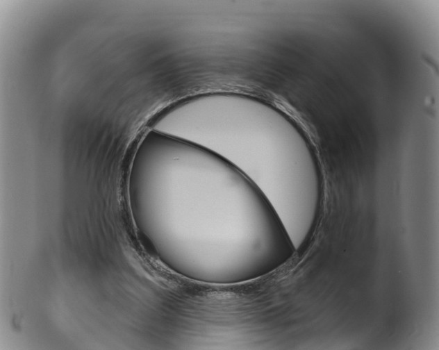 X0000102530203200808081100