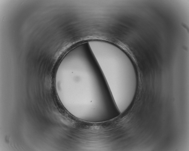X0000102530204200808081100