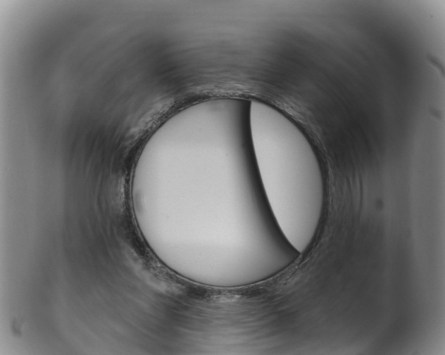 X0000102530206200808081100