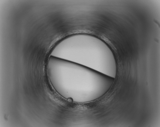 X0000102530207200808081100
